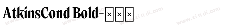 AtkinsCond Bold字体转换 AtkinsCond Bold字体转换